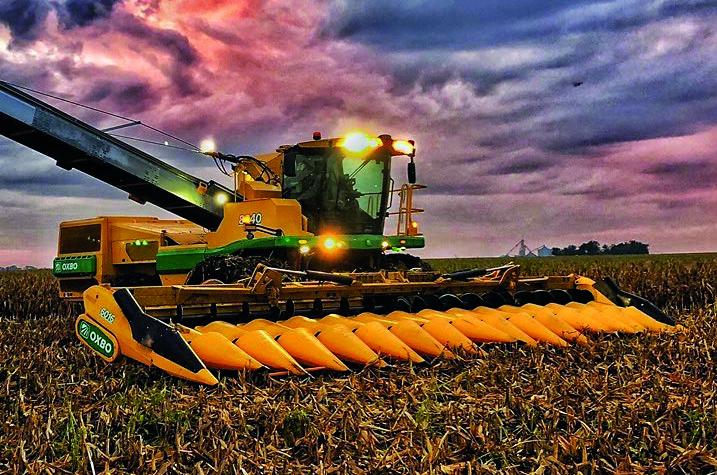 Oxbo 6014 Specialty Crop Harvester Specs