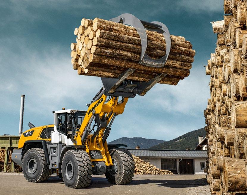プリニー Liebherr L 586 XPower Loader | AllMachines